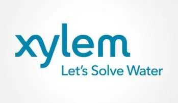 30 Xylem